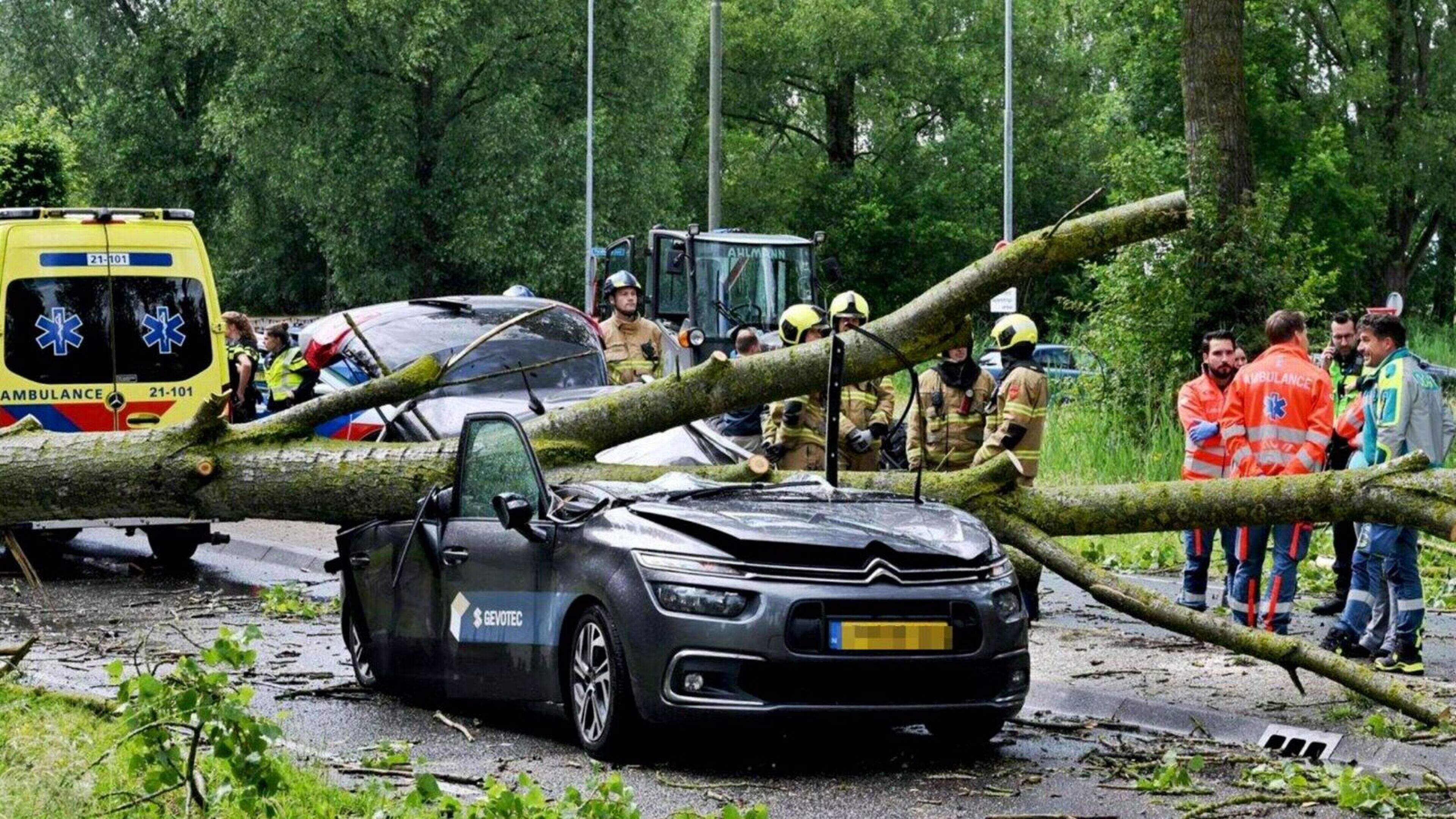 Bestuurder komt om doordat boom op auto valt in Boxtel